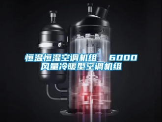 知识百科恒温恒湿空调机组  6000风量冷暖型空调机组