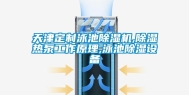 天津定制泳池除湿机,除湿热泵工作原理,泳池除湿设备