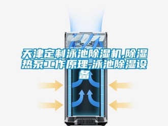 行业新闻天津定制泳池除湿机,除湿热泵工作原理,泳池除湿设备