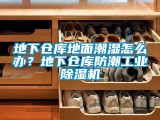 常见问题地下仓库地面潮湿怎么办？地下仓库防潮工业除湿机