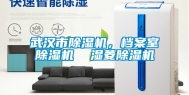 武汉市除湿机，档案室除湿机  湿菱除湿机
