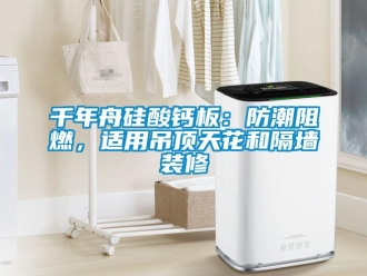 企业新闻千年舟硅酸钙板：防潮阻燃，适用吊顶天花和隔墙装修