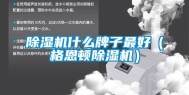 除湿机什么牌子最好（格恩顿除湿机）