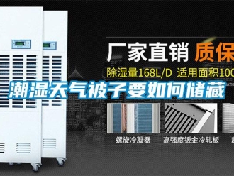 常见问题潮湿天气被子要如何储藏