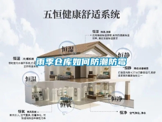 常见问题雨季仓库如何防潮防霉