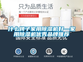 企业新闻什么牌子家用除湿机好—家用除湿机优秀品牌推荐