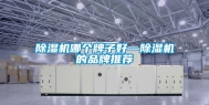 除湿机哪个牌子好—除湿机的品牌推荐