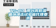 TS-80 邢台高低温循环冲击试验箱代理要求