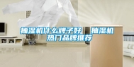抽湿机什么牌子好  抽湿机 热门品牌推荐