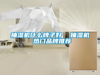 企业新闻抽湿机什么牌子好  抽湿机 热门品牌推荐