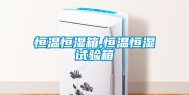 恒温恒湿箱,恒温恒湿试验箱