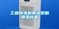 工业除湿机解决轮胎潮湿问题