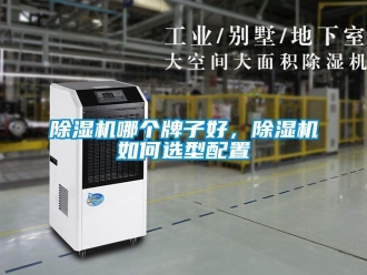 行业新闻除湿机哪个牌子好，除湿机如何选型配置