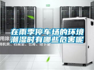 知识百科在雨季停车场的环境潮湿时有哪些危害呢
