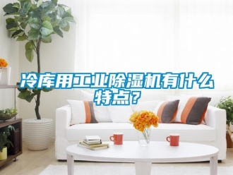 常见问题冷库用工业除湿机有什么特点？