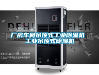 常见问题厂房车间吊顶式工业除湿机 工业吊顶式除湿机