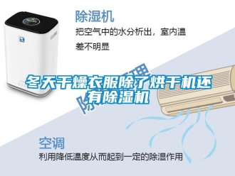 企业新闻冬天干燥衣服除了烘干机还有除湿机
