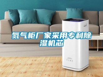 企业新闻氮气柜厂家采用专利除湿机芯