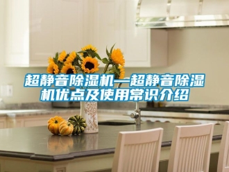 企业新闻超静音除湿机—超静音除湿机优点及使用常识介绍