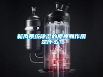 行业新闻新风系统除湿的原理和作用是什么？