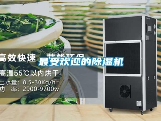行业新闻最受欢迎的除湿机