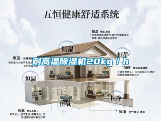行业新闻耐高温除湿机20kg／h