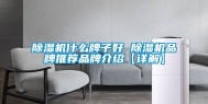 除湿机什么牌子好 除湿机品牌推荐品牌介绍【详解】