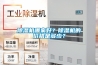 除湿机哪家好？除湿机的价格是多少？
