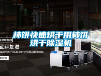 行业新闻柿饼快速烘干用柿饼烘干除湿机