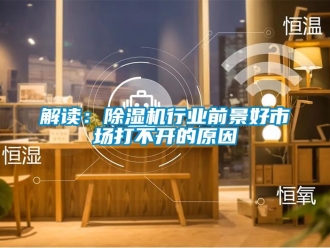 行业新闻解读：除湿机行业前景好市场打不开的原因