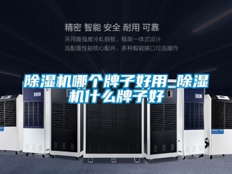 行业新闻除湿机哪个牌子好用_除湿机什么牌子好