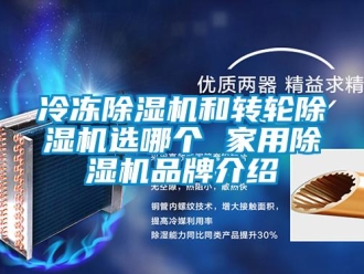 常见问题冷冻除湿机和转轮除湿机选哪个 家用除湿机品牌介绍