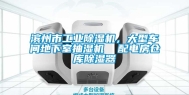 滨州市工业除湿机，大型车间地下室抽湿机  配电房仓库除湿器