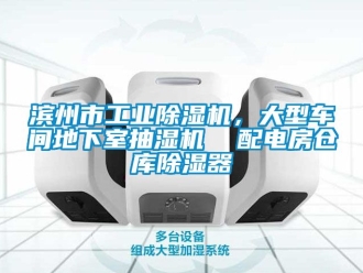 常见问题滨州市工业除湿机，大型车间地下室抽湿机  配电房仓库除湿器