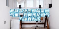 肥胖其中原因就是湿气重，如何预防湿气入体有妙招