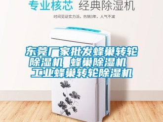 企业新闻东莞厂家批发蜂巢转轮除湿机 蜂巢除湿机 工业蜂巢转轮除湿机