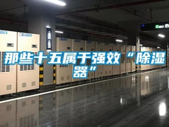 行业新闻那些十五属于强效“除湿器”