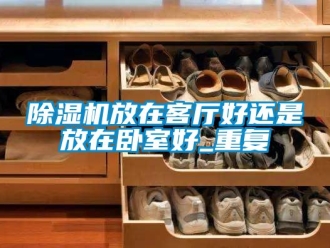 行业新闻除湿机放在客厅好还是放在卧室好_重复