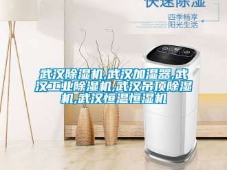 常见问题武汉除湿机,武汉加湿器,武汉工业除湿机,武汉吊顶除湿机,武汉恒温恒湿机