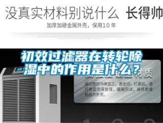 企业新闻初效过滤器在转轮除湿中的作用是什么？