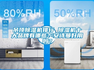企业新闻吊顶除湿机排行 除湿机十大品牌有哪些？安诗曼好用吗？