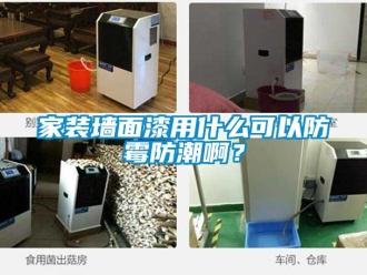 常见问题家装墙面漆用什么可以防霉防潮啊？
