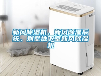 常见问题新风除湿机、新风除湿系统、别墅地下室新风除湿机