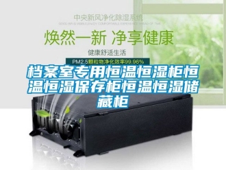 知识百科档案室专用恒温恒湿柜恒温恒湿保存柜恒温恒湿储藏柜