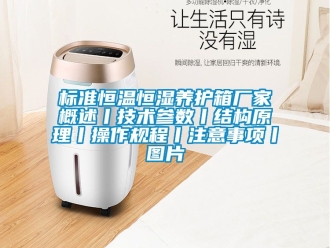 常见问题标准恒温恒湿养护箱厂家概述丨技术参数丨结构原理丨操作规程丨注意事项丨图片