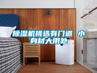 企业新闻除湿机挑选有门道 小身材大用处