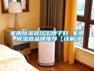 行业新闻家用除湿器什么牌子好 家用除湿器品牌推荐【详解】
