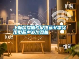 知识百科上海加湿器专家推荐冬季实用型超声波加湿机