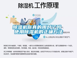行业新闻除湿机你真的用对了吗 使用除湿机的正确方法