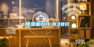 除湿机DH-838D